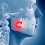 The Myths and Facts About Wisdom Teeth Extraction